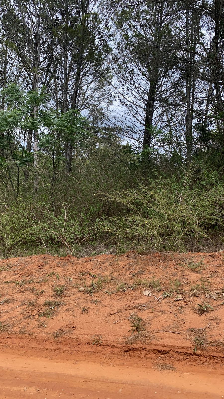 0 Bedroom Property for Sale in Bathurst Eastern Cape